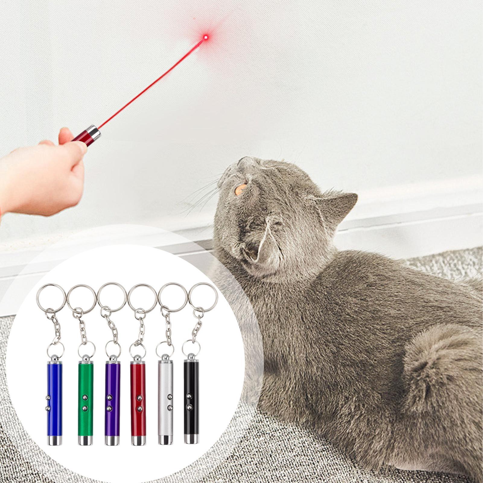 Brinquedos para Gatos de Caça, - Trail Camera Infrared avaliação e preço