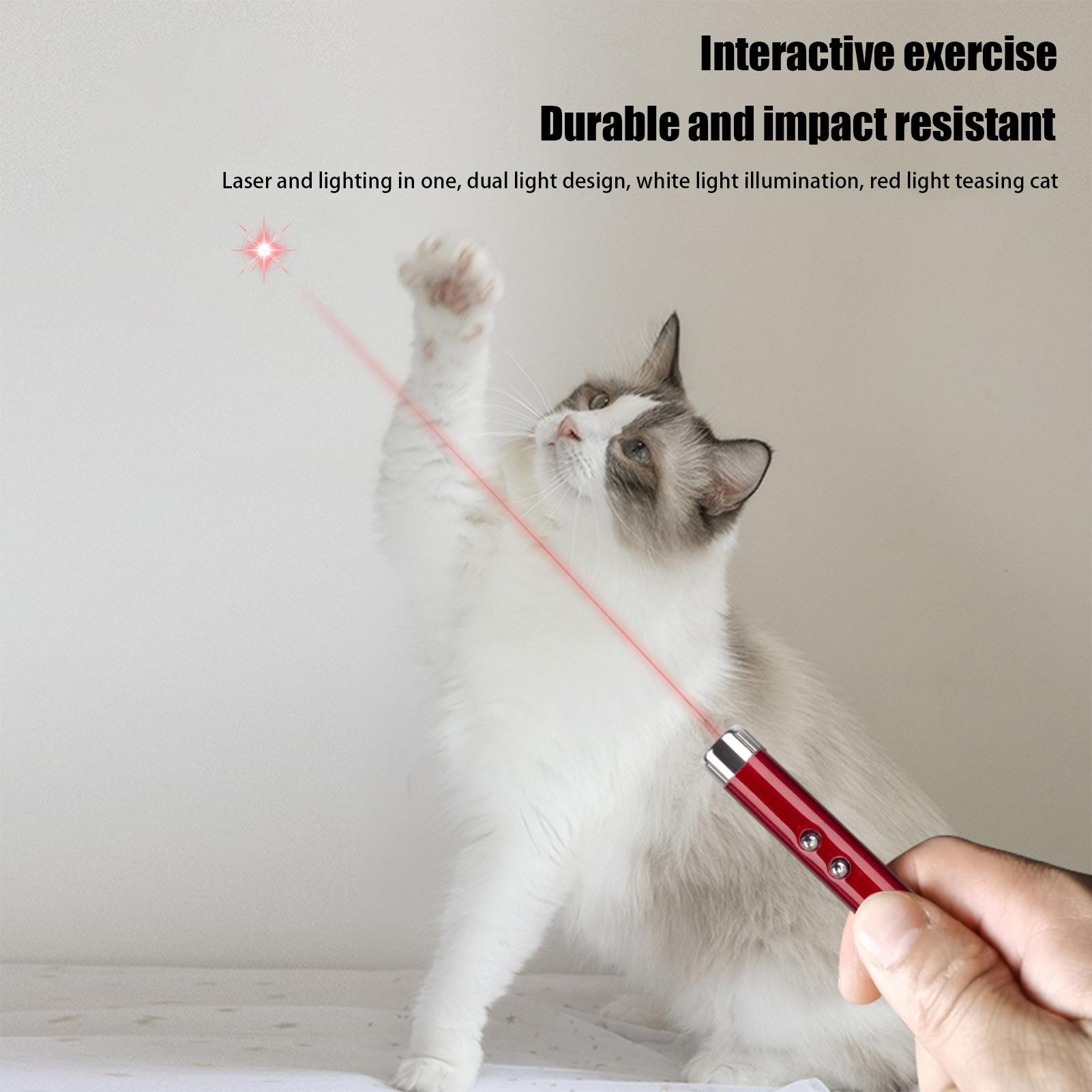 Brinquedos para Gatos de Caça, - Trail Camera Infrared avaliação e preço