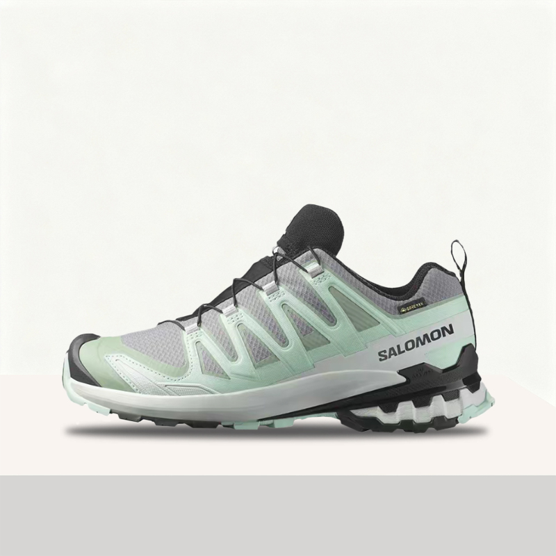 Salomon XA Pro 3D V9 GTX: Têni - Salomon Shoes Xa Pro 3D avaliação e preço
