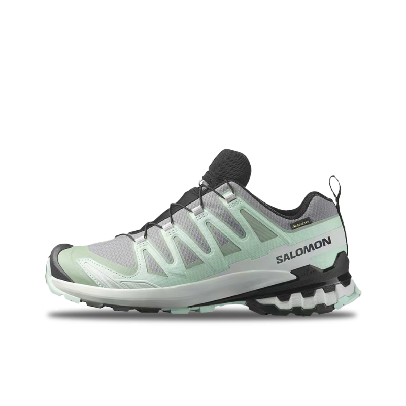 Salomon XA Pro 3D V9 GTX: Têni - Salomon Shoes Xa Pro 3D avaliação e preço