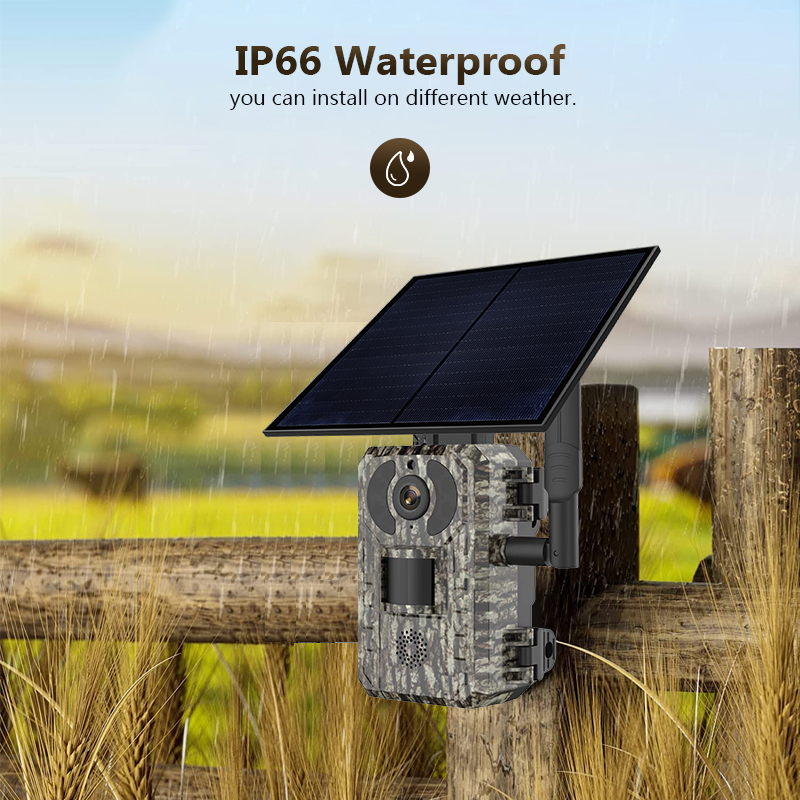 Câmera de jogo de trilha de ca - Trail Camera Infrared avaliação e preço