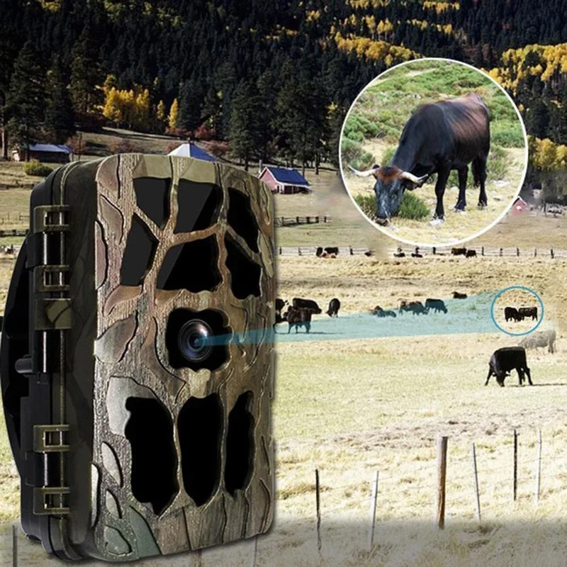 H982 IP66 à prova d'água 4K in - Trail Camera Infrared avaliação e preço